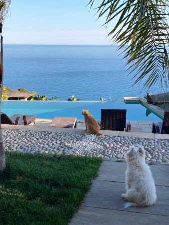 Bed and breakfast 3 ospiti, con piscina