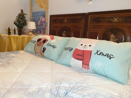 Appartamento 1 camera, con aria condizionata