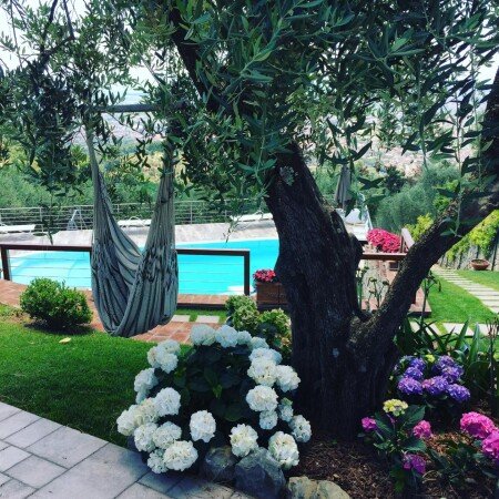 Apartment 4 guests, with pool