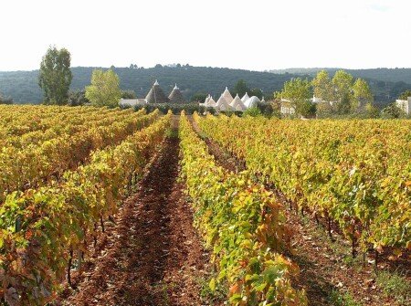 Bed and breakfast 5 ospiti, con giardino