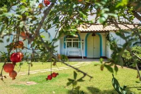 Bed and breakfast 1 camera, con piscina