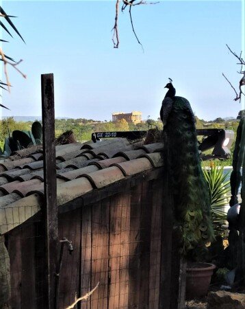 Bed and breakfast 5 ospiti, con piscina