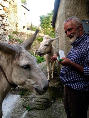 Bed and breakfast 4 ospiti, con giardino