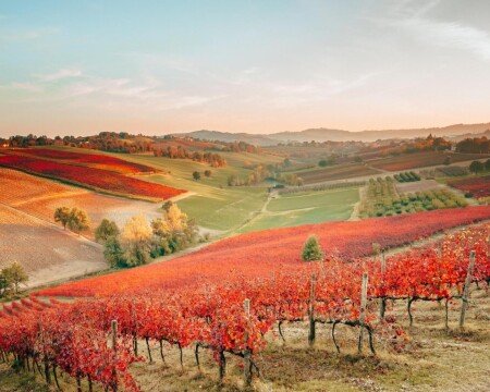 Bed and breakfast 1 camera, con piscina