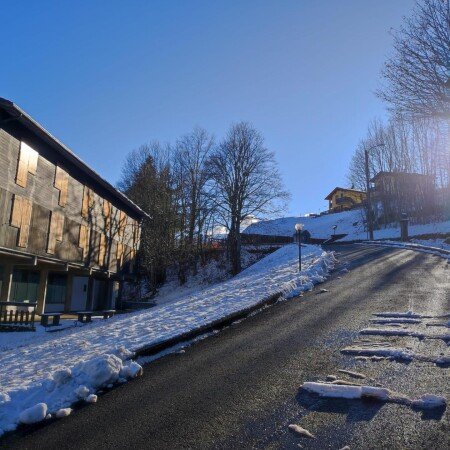 Appartamento 1 camera, con giardino