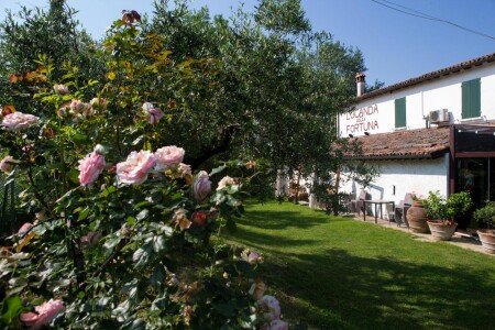 Bed and breakfast 4 ospiti, con piscina