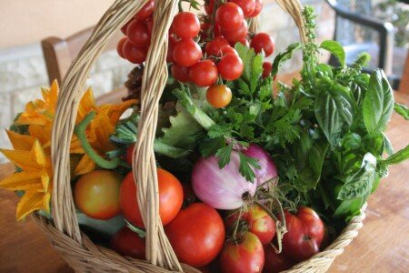 Bed and breakfast 1 camera, con giardino