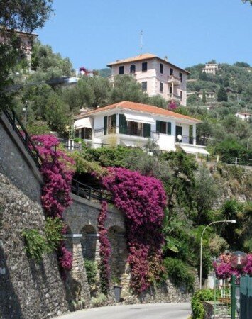 Bed and breakfast 1 camera, con giardino
