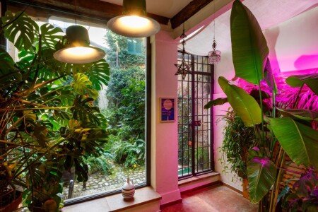 Appartamento 1 camera, con giardino