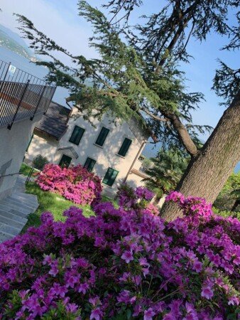 Appartamento 1 camera, con giardino