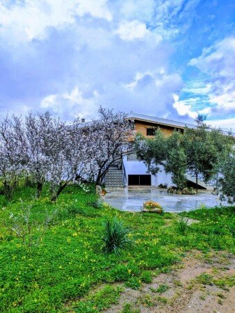 Appartamento 2 ospiti, con giardino