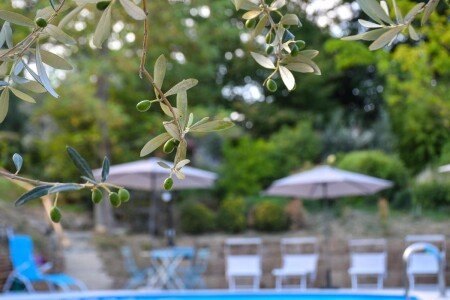 Appartamento 7 ospiti, con piscina