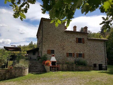 Appartamento 1 camera, con giardino