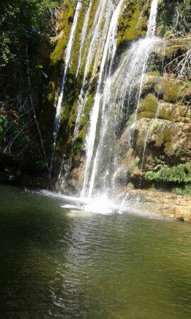 Bed and breakfast 2 ospiti, con giardino