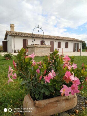 Bed and breakfast 5 ospiti, con giardino