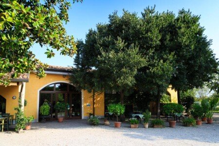 Bed and breakfast 1 camera, con giardino