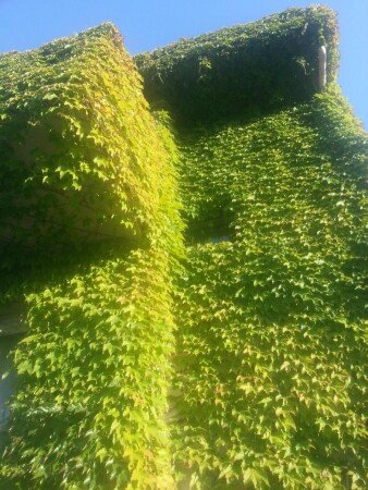 Bed and breakfast 2 ospiti, con giardino