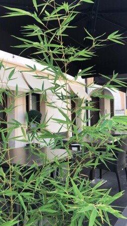 Bed and breakfast 3 ospiti, con giardino