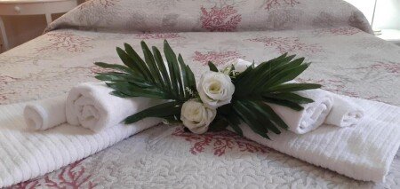 Bed and breakfast 1 camera, con giardino