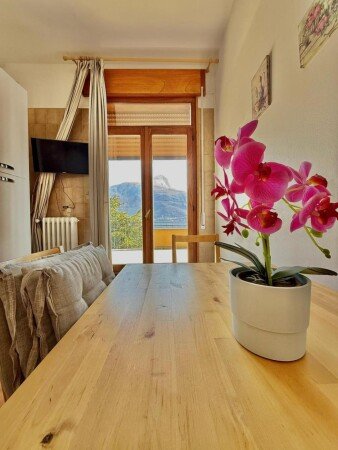 Appartamento 2 camere, con giardino