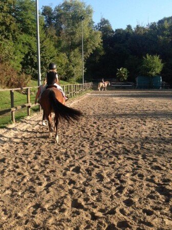 Bed and breakfast 4 ospiti, con giardino