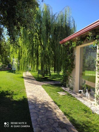 Bed and breakfast 1 camera, con giardino