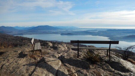 Appartamento 1 camera, con giardino