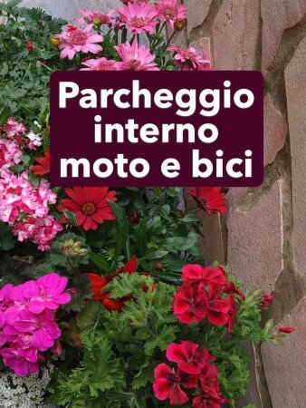 Bed and breakfast 4 ospiti, con giardino