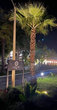 Bed and breakfast 4 ospiti, con giardino