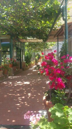 Bed and breakfast 3 ospiti, con giardino
