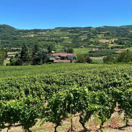 Bed and breakfast 2 camere, con giardino