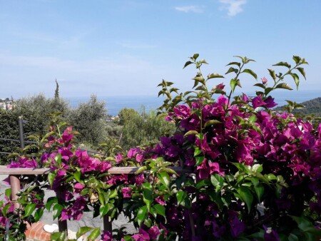 Bed and breakfast 3 ospiti, con giardino