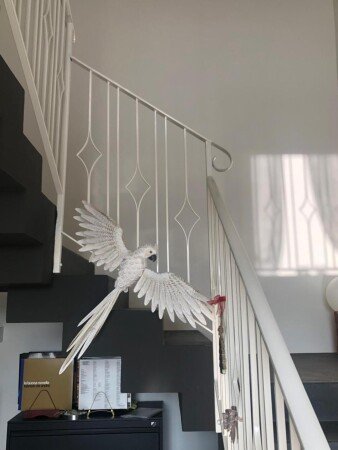 Bed and breakfast 3 ospiti, con piscina