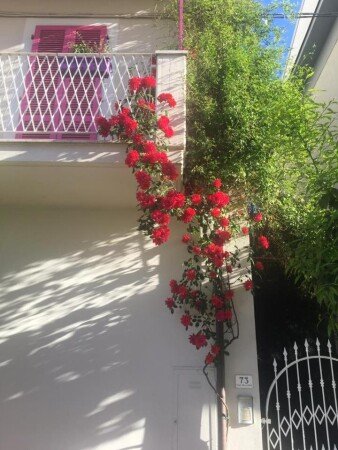 Bed and breakfast 4 ospiti, con giardino