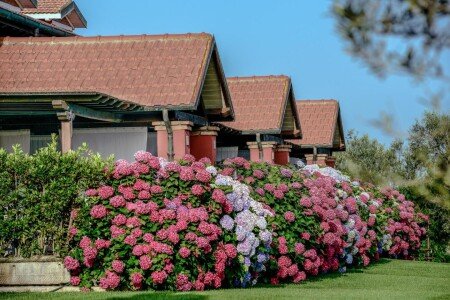 Appartamento 4 ospiti, con idromassaggio