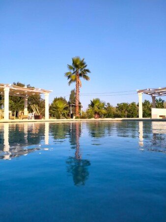 Aparthotel 4 ospiti, con giardino
