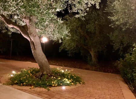 Casa 6 ospiti, con giardino