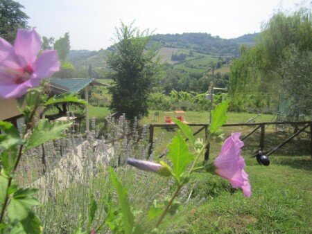 Bed and breakfast 1 camera, con giardino