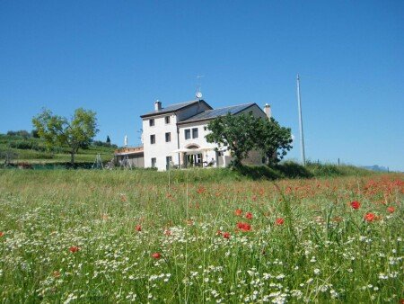 Bed and breakfast 4 ospiti, con giardino