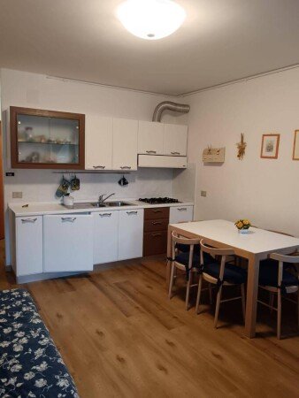 Appartamento 1 camera, con giardino