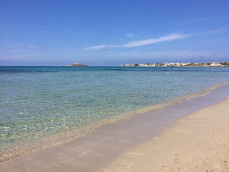 Appartamento 2 camere, con giardino