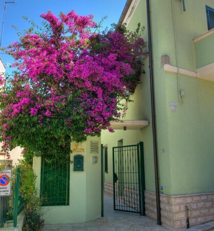 Bed and breakfast 6 ospiti, con giardino