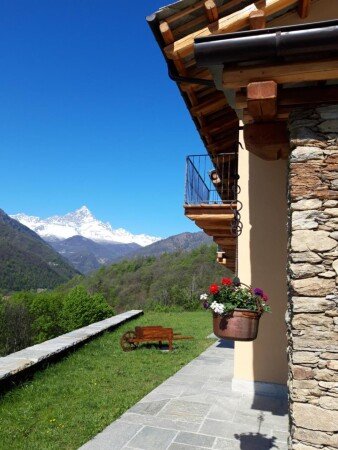 Appartamento 1 camera, con giardino