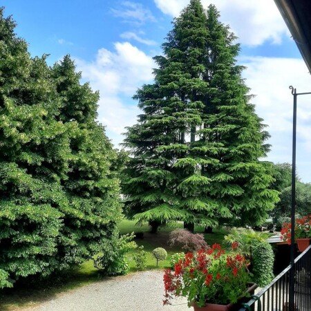 Bed and breakfast 4 ospiti, con giardino