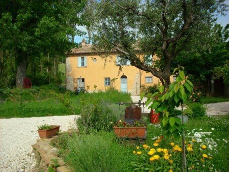 Appartamento 2 camere, con giardino