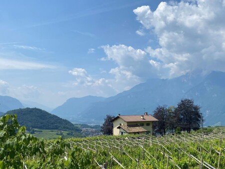 Bed and breakfast 3 ospiti, con giardino