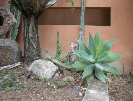 Bed and breakfast 2 ospiti, con giardino