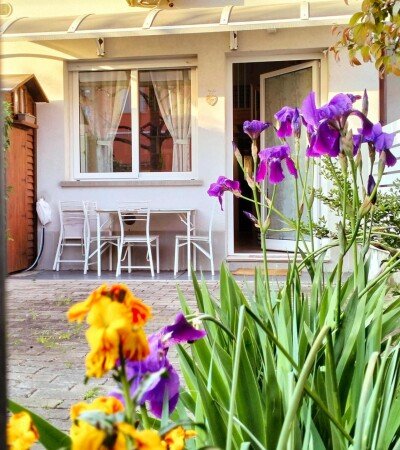 Apartamento 1 habitación, con jardín