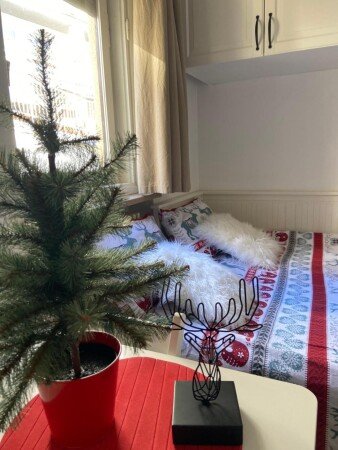 Appartement 1 chambre, avec jardin