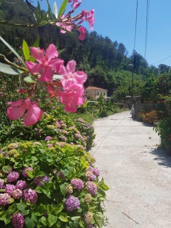 Casa 2 camere, con giardino